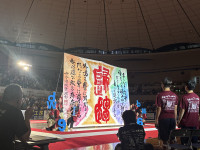 IMG_0518
